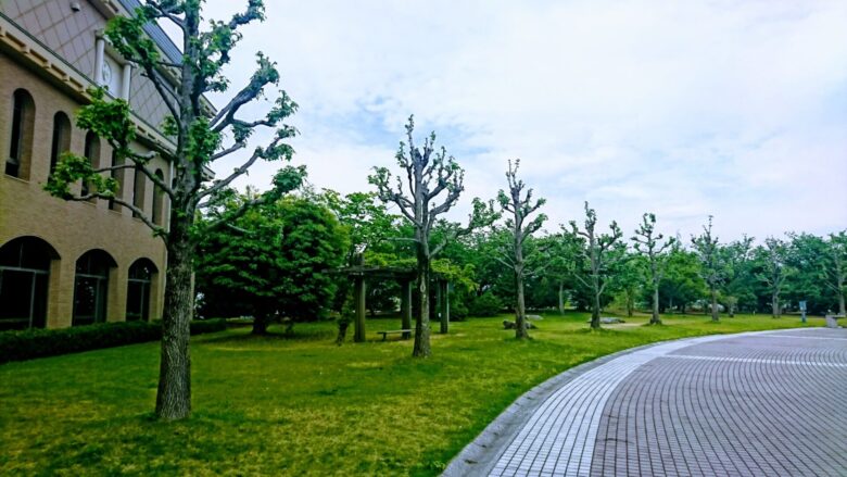坂井市立春江図書館の緑地
