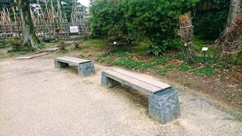 彦三緑地のベンチ