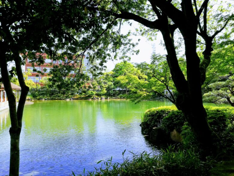 養浩館庭園の池