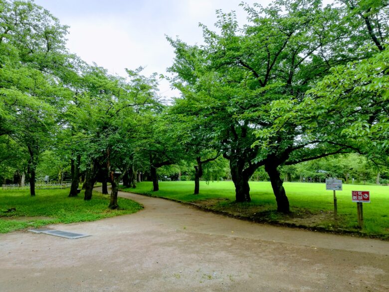 高岡古城公園の散歩道