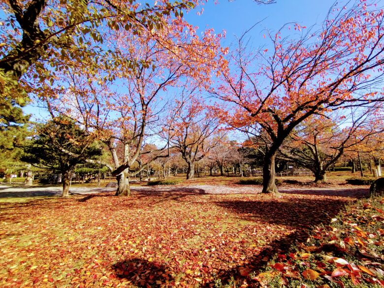 芦城公園の風景
