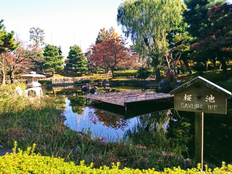 芦城公園の桜池