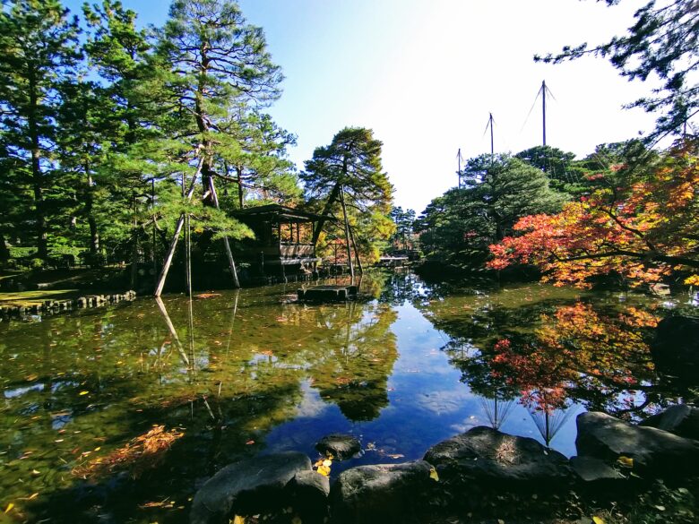 芦城公園の池