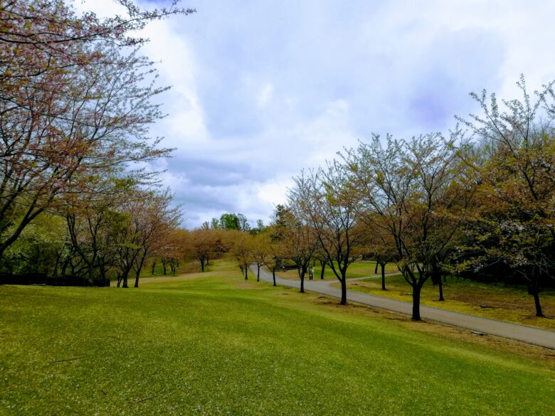 奥卯辰山健民公園の風景