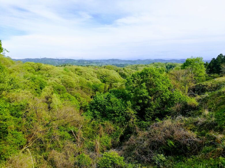 石川県森林公園見晴台の見晴らし