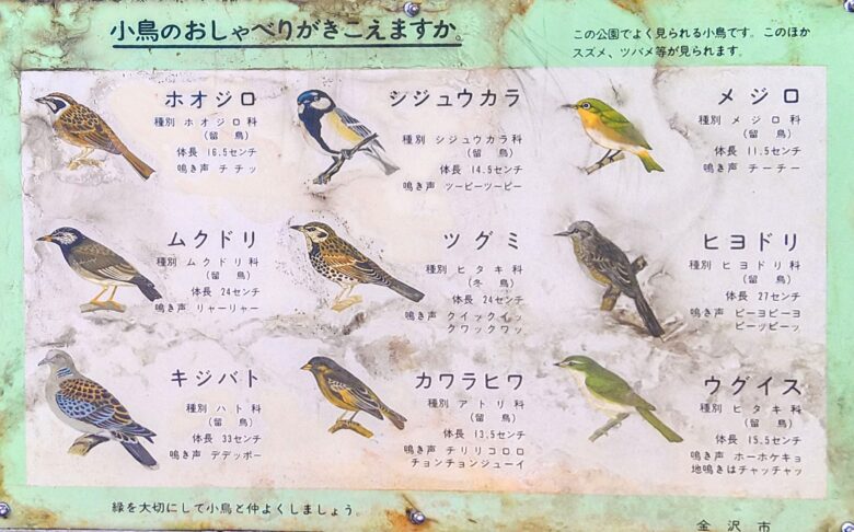 城北中央公園の小鳥の説明