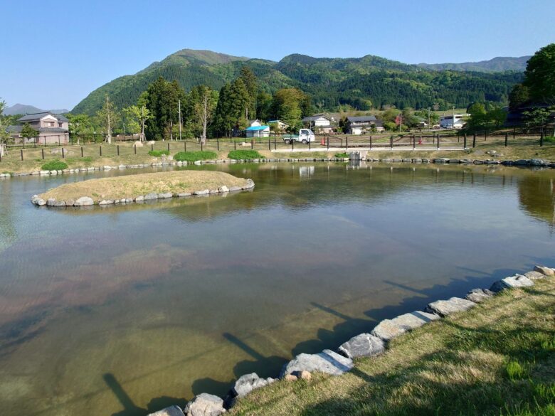 道の駅 越前おおの 荒島の郷の水辺