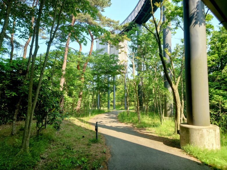 別所岳スカイデッキ 能登ゆめてらすの風景