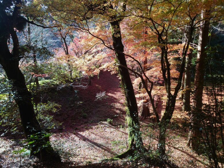 那谷寺の紅葉が綺麗なところ