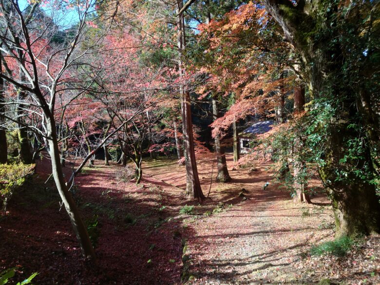 那谷寺の紅葉が綺麗なところ