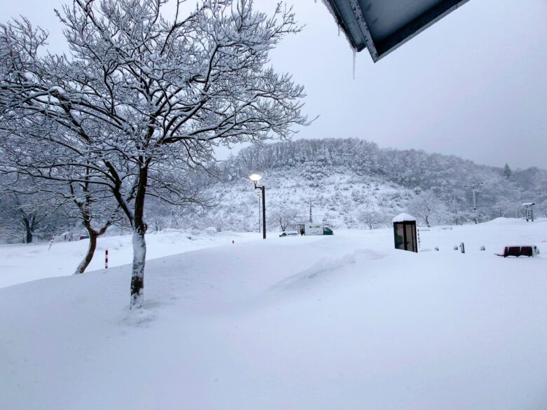 道の駅 桜峠の積雪