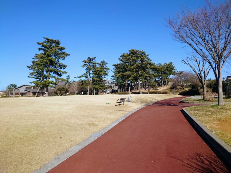 七塚中央公園の散歩道