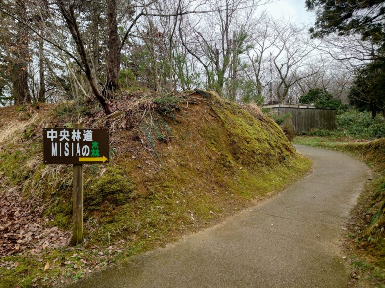 石川県森林公園 南口運動広場の散歩道