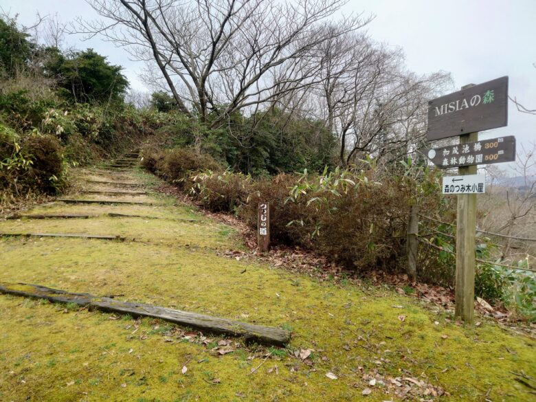 石川県森林公園 南口運動広場のMISIAの森