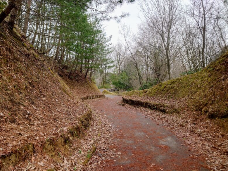 石川県森林公園 南口運動広場の散歩道