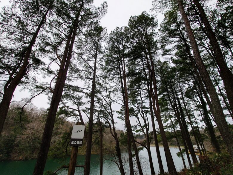 石川県森林公園 南口運動広場の松葉台広場