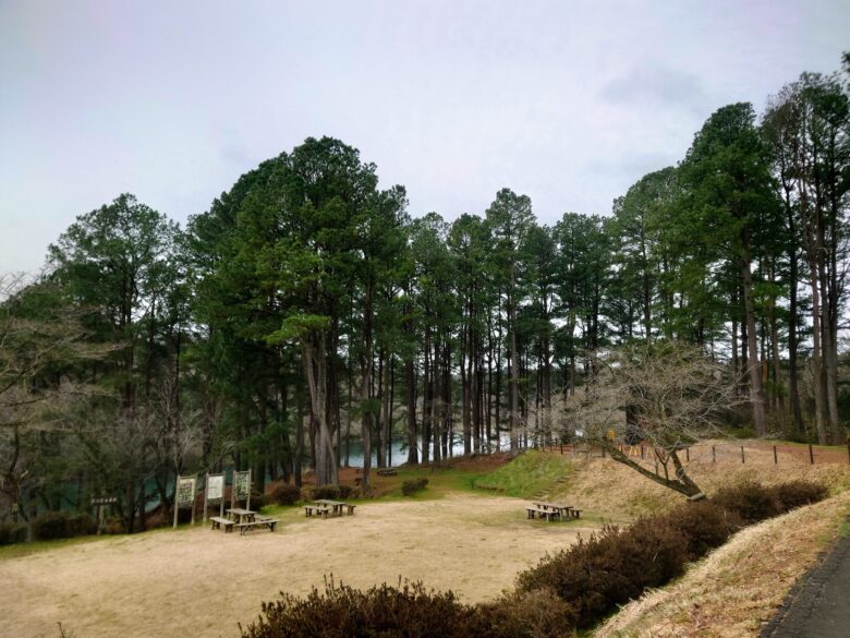 石川県森林公園 南口運動広場の松葉台広場