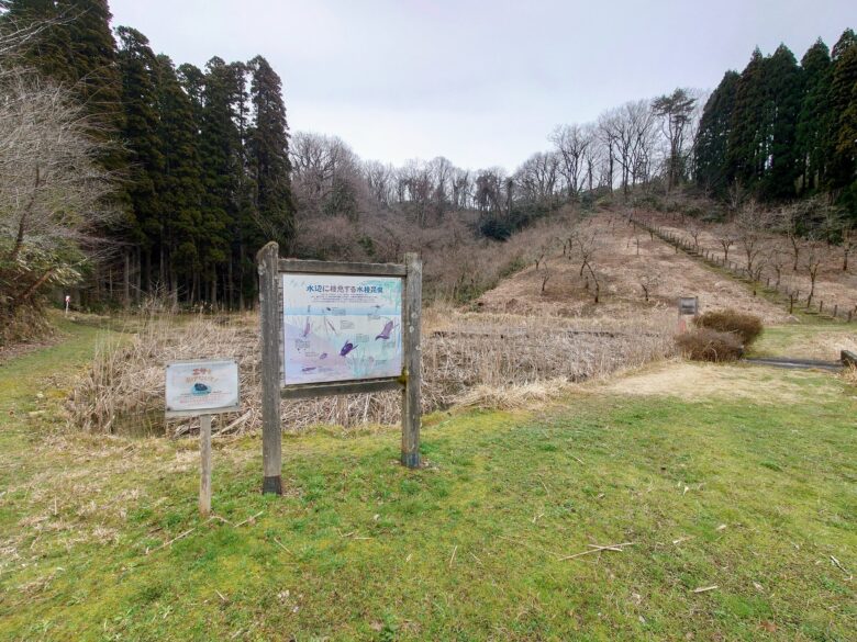 石川県森林公園 南口運動広場の散歩ルート