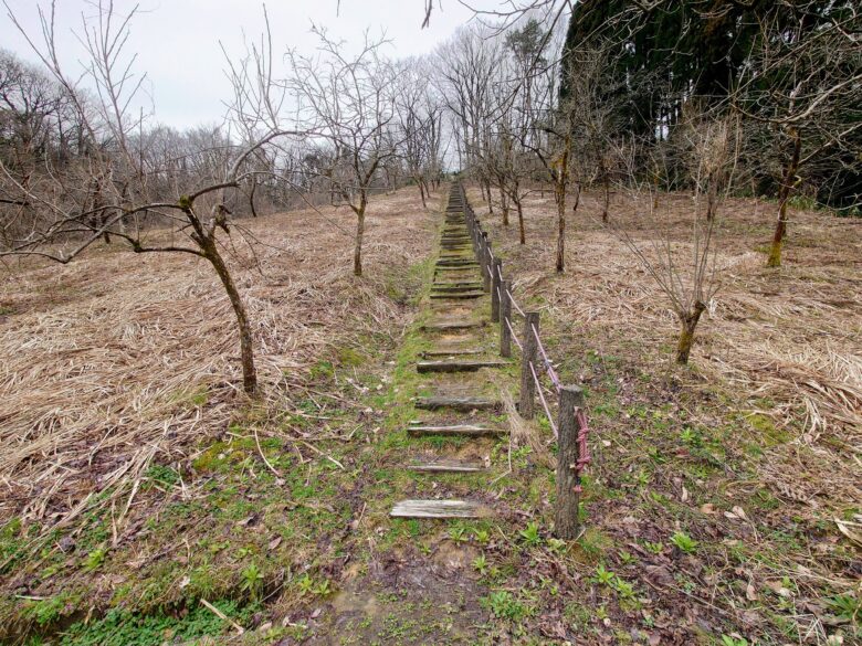 石川県森林公園 南口運動広場の散歩ルート