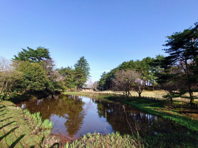 奥卯辰山健民公園の池