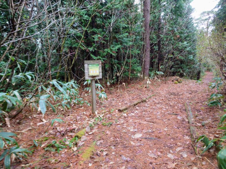 石川県健康の森の散策道