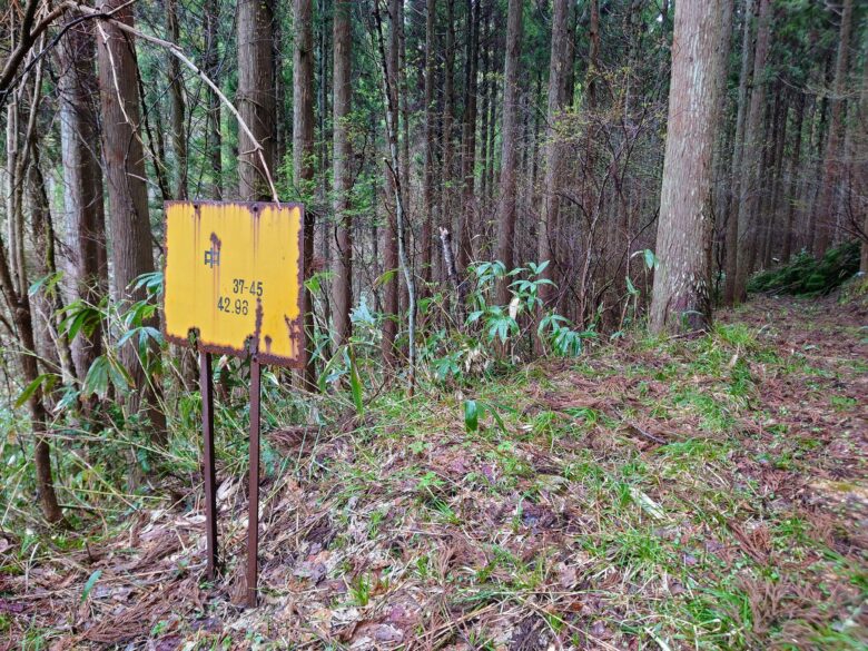 石川県健康の森の散策道