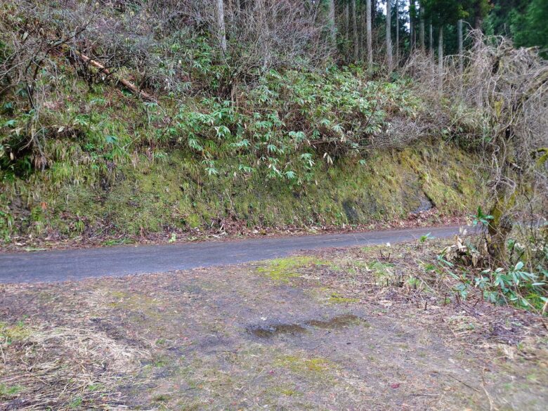 石川県健康の森の林道中線