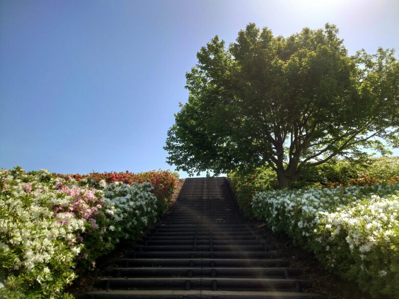 大乗寺公園のつつじ園の階段