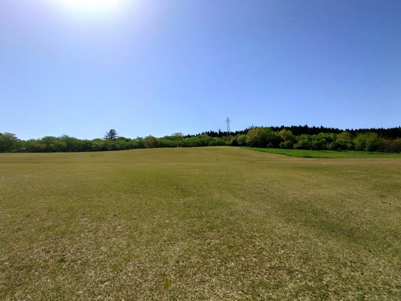 大乗寺公園の芝生の丘