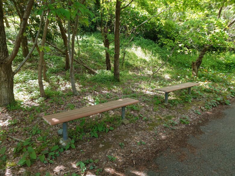 大乗寺公園のベンチ
