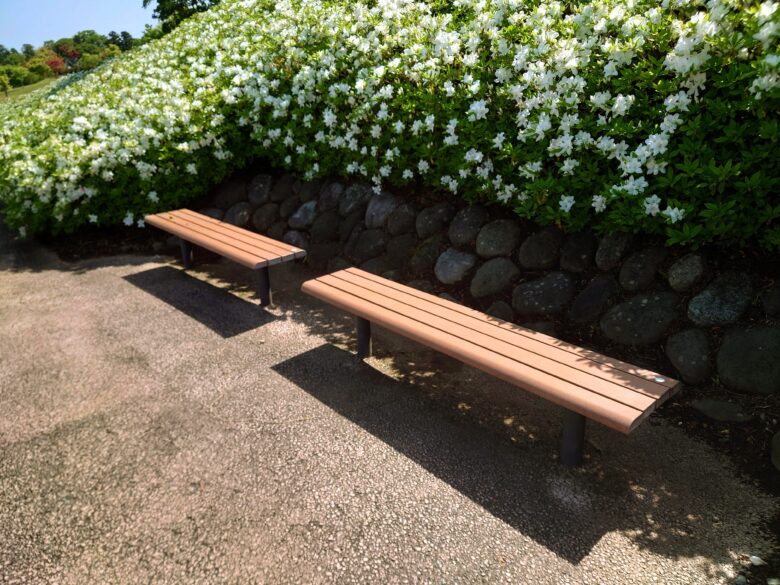 大乗寺公園のベンチ