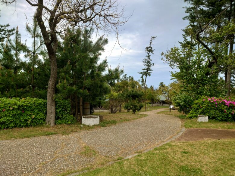 坂井市海浜自然公園の散歩道