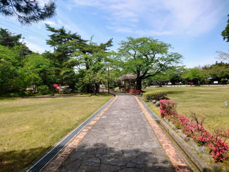 遠島山公園の散歩道