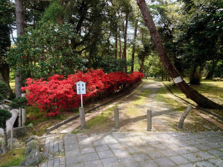 遠島山公園の散歩道