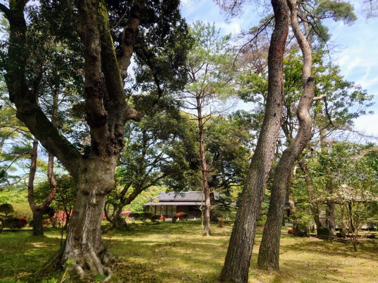 遠島山公園の散歩道