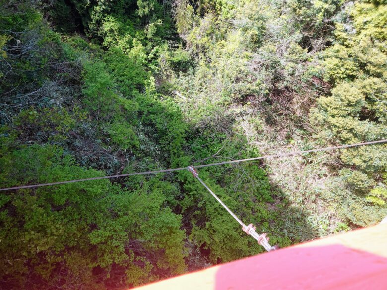 遠島山公園のしらさぎ橋からの眺め