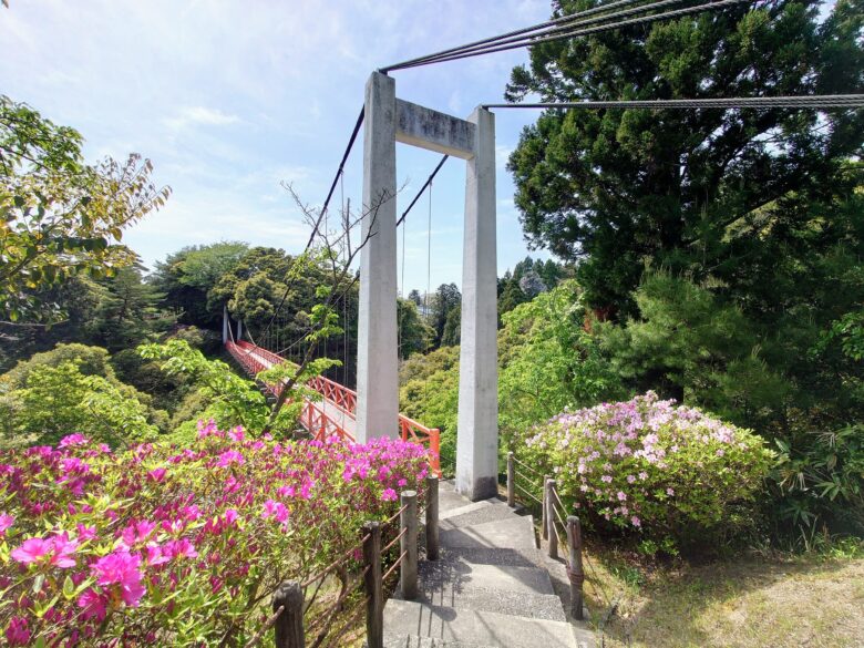 遠島山公園のしらさぎ橋とツツジ