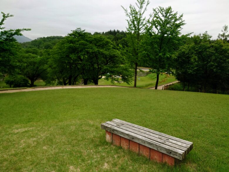 桜ケ池公園遊具広場の芝生エリアとベンチ