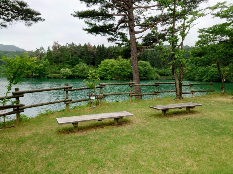 桜ヶ池公園のベンチ