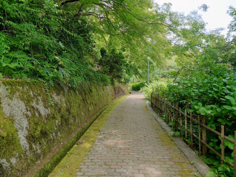 小丸山城址公園の坂道