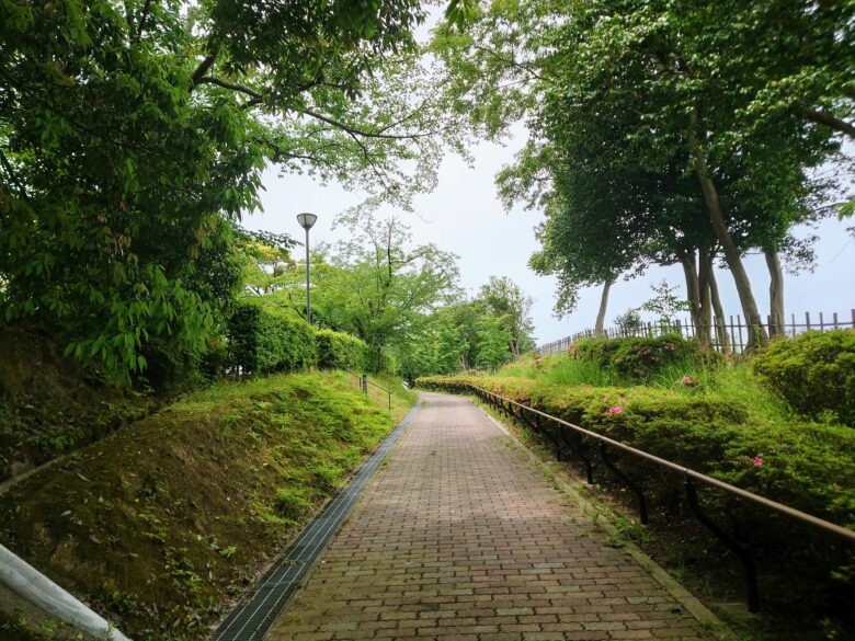 小丸山城址公園の坂道