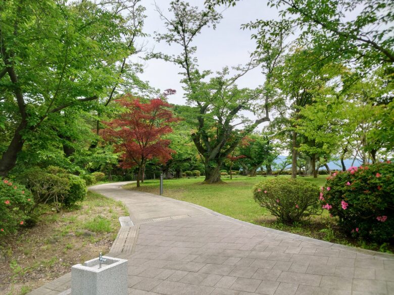 小丸山城址公園の天性丸エリア