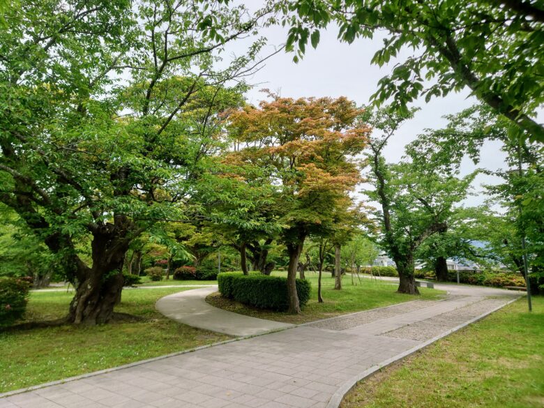 小丸山城址公園の天性丸エリア