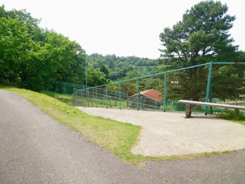 石川県森林動物園の分岐路