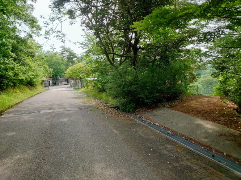 石川県森林動物園の分岐路