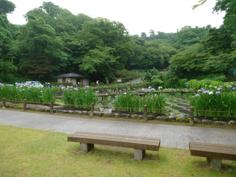 卯辰山花菖蒲園のベンチからの眺め