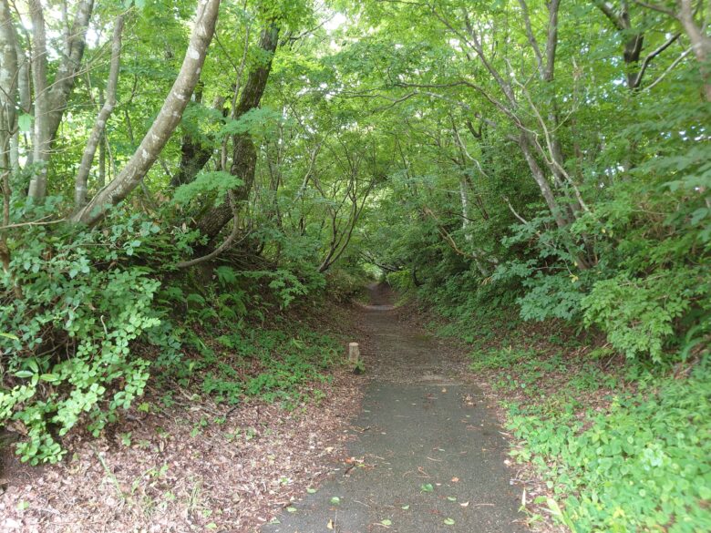 倶利伽羅峠 展望台の近くにある山道