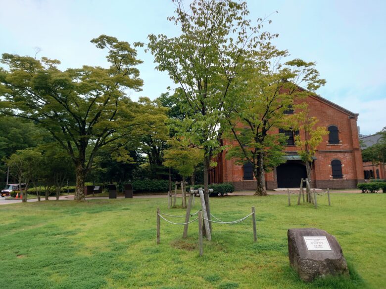 本多の森公園のヤマザクラ