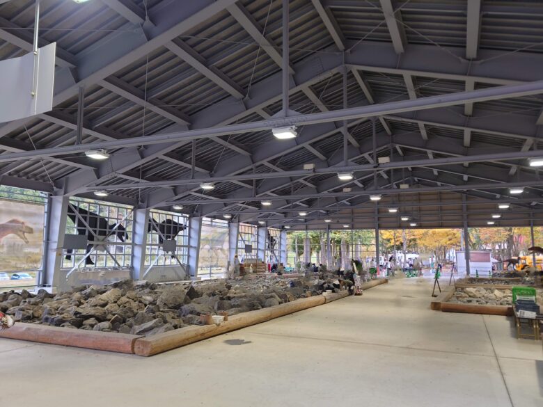 九頭竜紅葉まつりの化石発掘体験センター ホロッサ