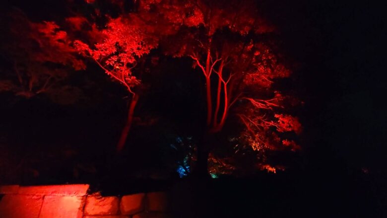 チームラボ 金沢城 光の祭のライトアップ